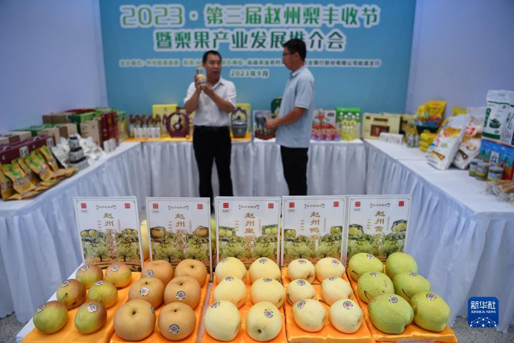 娱乐吧电游